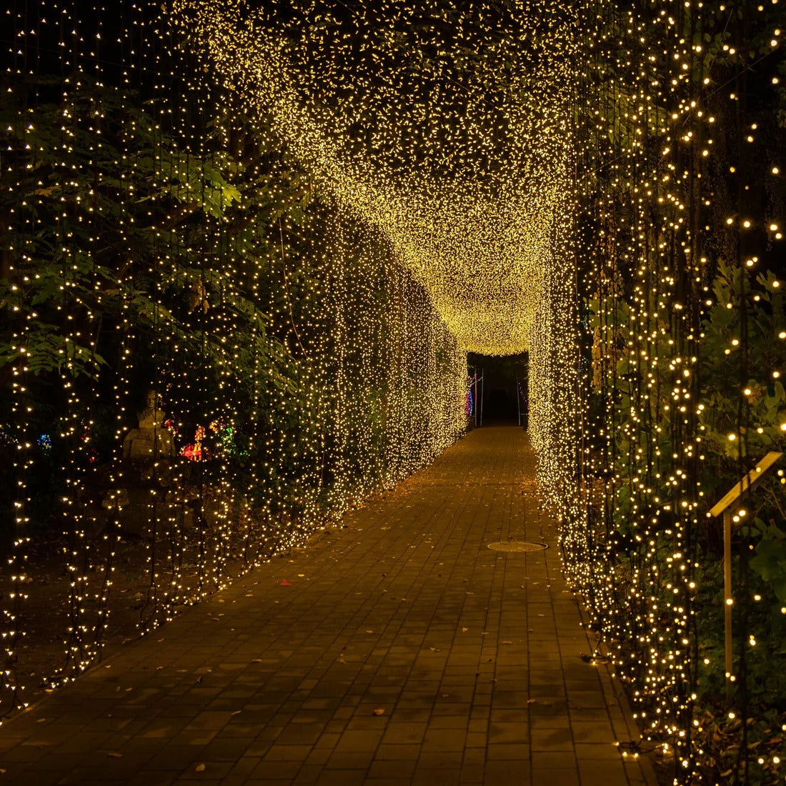LED Curtain String Lights